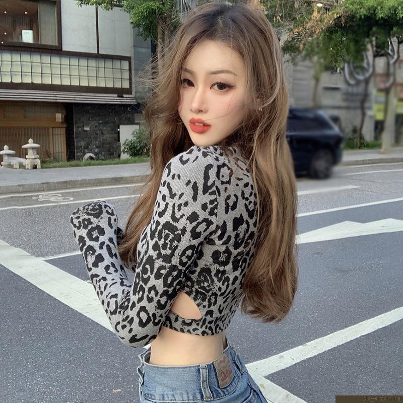 Áo Croptop tay dài hoạ tiết da báo / ngựa vằn