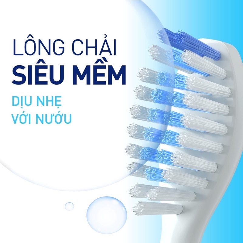 Bàn chải điện P/S S100 PRO - Hàng chính hãng