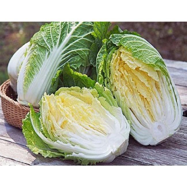 HẠT GIỐNG CẢI THẢO (NN304) - 1G