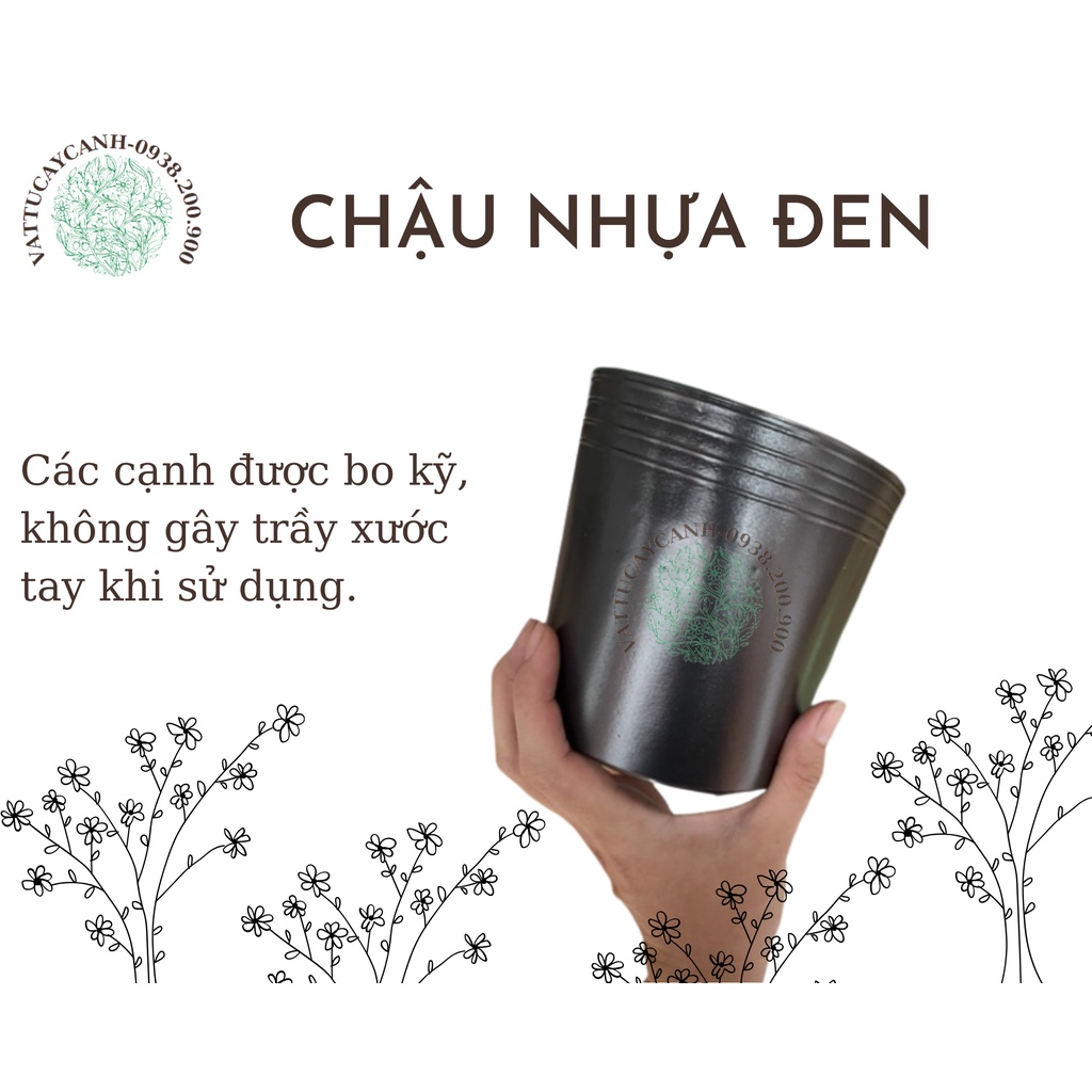 Chậu nhựa đen C7 & C5 dày dặn dùng trồng cây