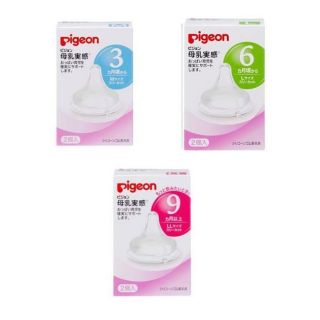 Bộ 2 núm ti cho bình cổ rộng Pigeon NV15010 - Size L