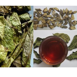 Cây xạ đen 1kg tiêu độc, phòng ung thư