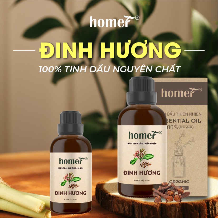 Tinh dầu Đinh Hương Pháp Homer 500ML/ 1L - Clove Essential Oil - đạt chuẩn chất lượng kiểm định