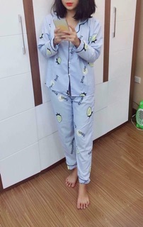 Combo 2 bộ pijama