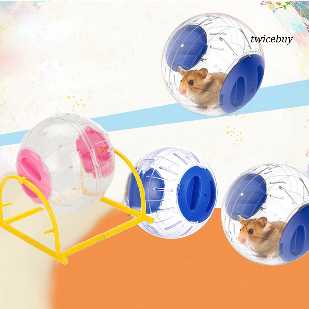 Bộ Đồ Chơi Bánh Xe Trong Suốt Cho Chuột Hamster