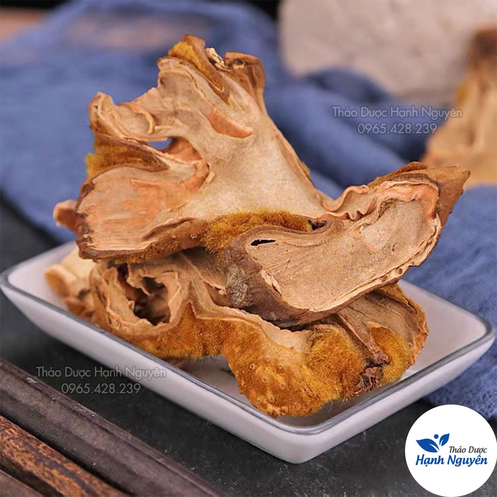 Cẩu tích chưa chế 1kg (Cây lông culi giảm tiểu đêm, mạnh gân cốt) - Thảo Dược Hạnh Nguyên