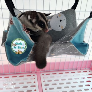 Võng treo 2 tầng cho Hamster, Sóc Bay, Sóc Bông, Sóc Đất...