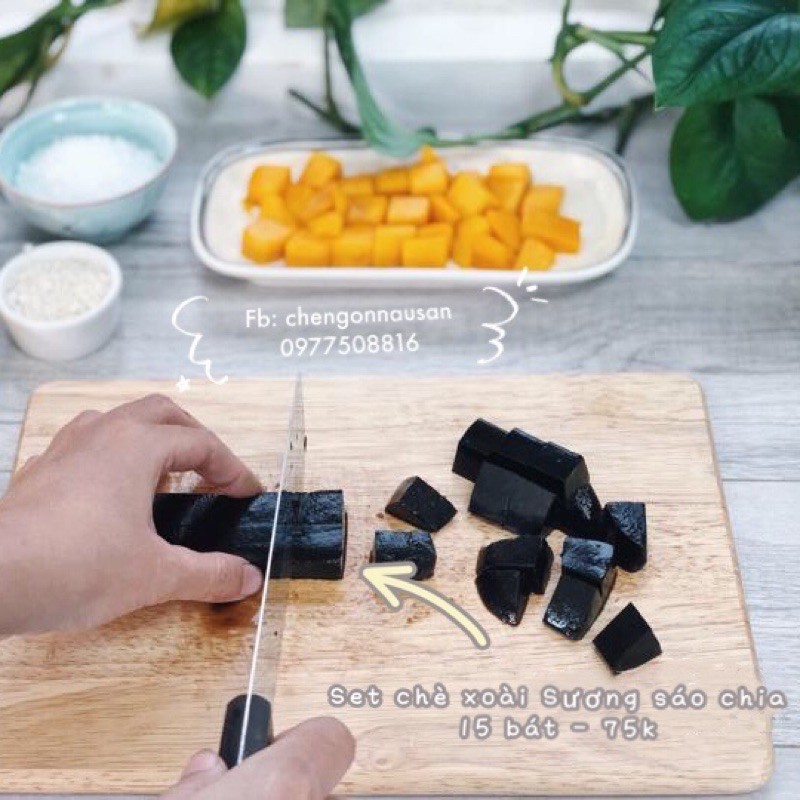 COMBO SET CHÈ XOÀI sương sáo HẠT CHIA 15 BÁT ĂN