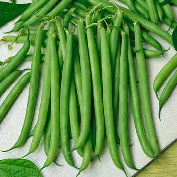 Hạt giống đậu cove bụi hạt trắng cao sản gói 50 gram xuất xứ Việt Nam