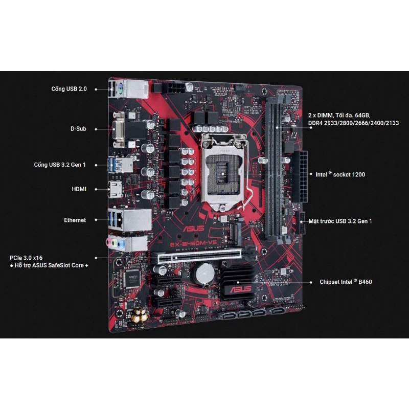 Mainboard ASUS EX-B460M-V5
