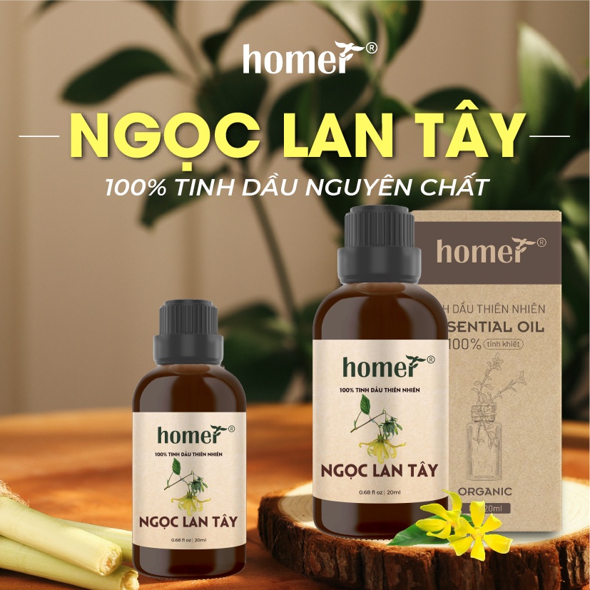 Combo 2 tinh dầu Ngọc Lan Tây Homer 20ml/chai