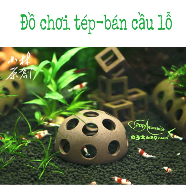 Đồ chơi tép- bán cầu lỗ