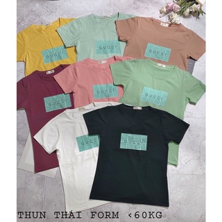 Áo thun Thái form vừa (bao chất đẹp)