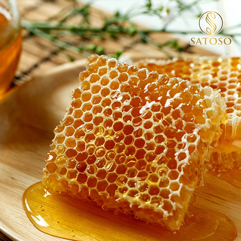 Mật ong khoái rừng thiên nhiên đặc sánh nguyên chất 100% SATOSO SA131