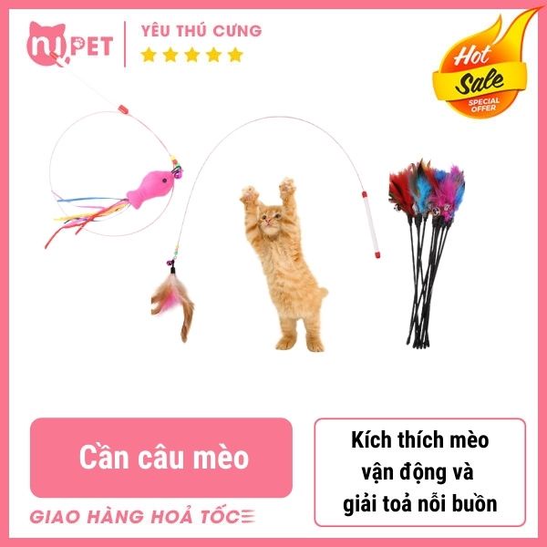 Cần câu mèo dẻo | Đồ chơi cho mèo