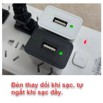 Củ sạc 5V-1A cho thiết bị cầm tay, máy tăm nước, đèn pin...- Hàng cao cấp, bảo hành 12 tháng