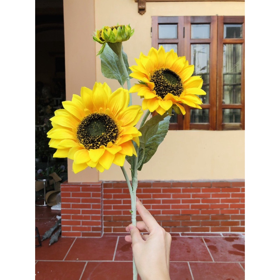 Hoa Hướng Dương cành cao 90cm hàng đẹp cam kết chất lượng