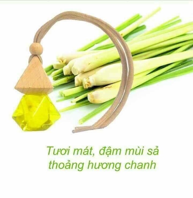 Tinh Dầu Treo Xe Ô Tô, Treo Phòng, Treo Tủ Quần Áo, Nhà Vệ Sinh 10ml