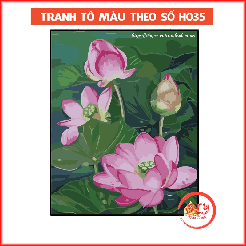 Tranh Sơn Dầu Tô Màu Theo Số Tranh Hoa Sen H035 – Tranh Số Hóa Tự Tô DIY