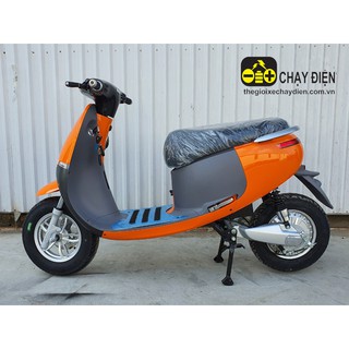 XE MÁY ĐIỆN TH CEO GOGO