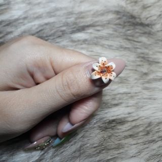hoa bột nail - hoa ly
