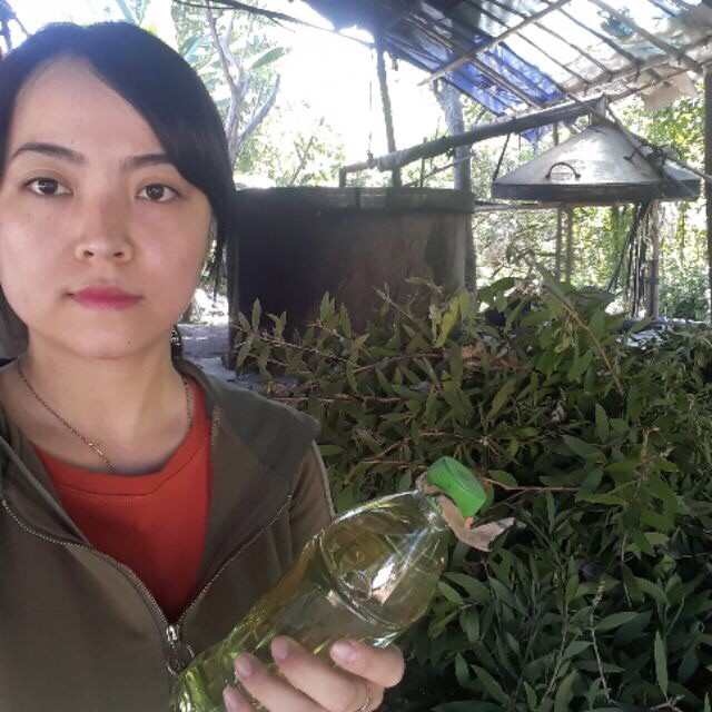 1 chai Tinh dầu tràm Huế 100ml (chai tròn)