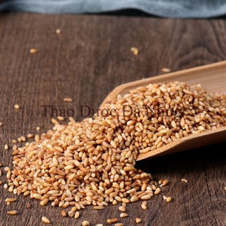 1 Kg Bá Tử Nhân Loại 1 (đã bóc vỏ ) Sao vàng hạ thổ.