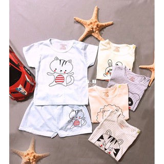 Combo 5 bộ cotong hè cho bé