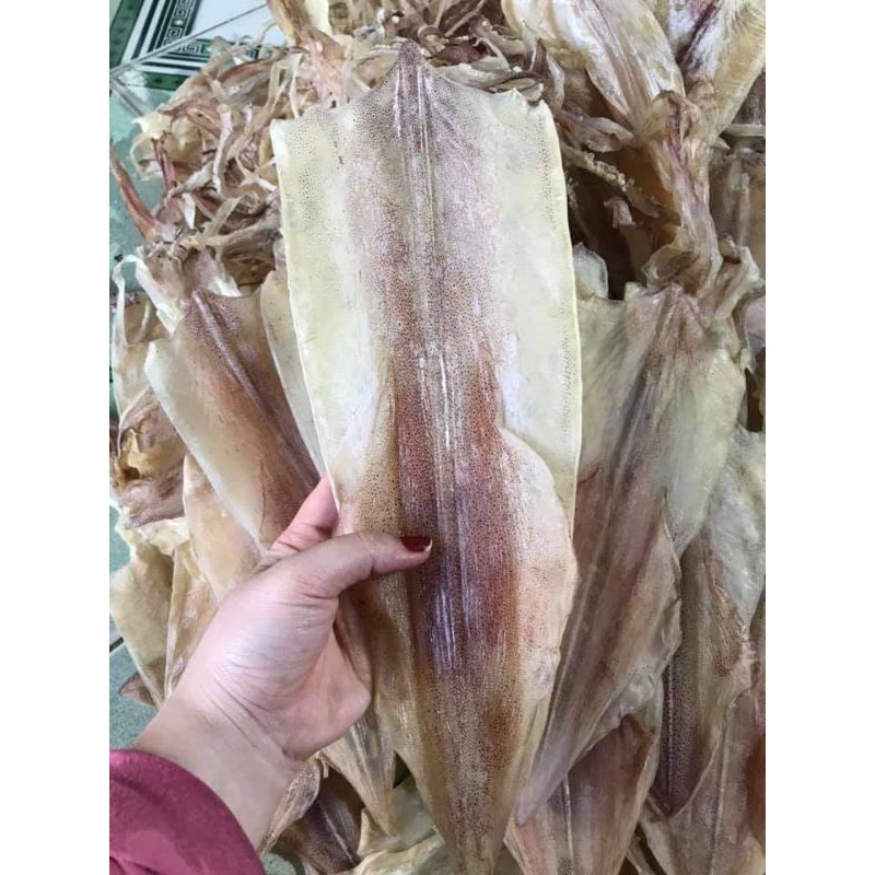 (Cực Ngon) 1 Con Mực Câu Phú Quốc Size  VIP (8-10 con/kg) | BigBuy360 - bigbuy360.vn