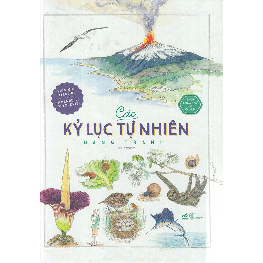 Sách - Các Kỷ Lục Tự Nhiên Bằng Tranh | BigBuy360 - bigbuy360.vn