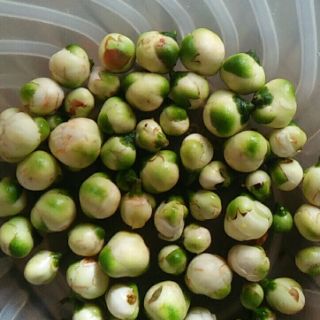 Hoa trà cổ thụ khô (500g)