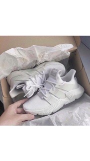 Giày Thể Thao Prophere Full Box