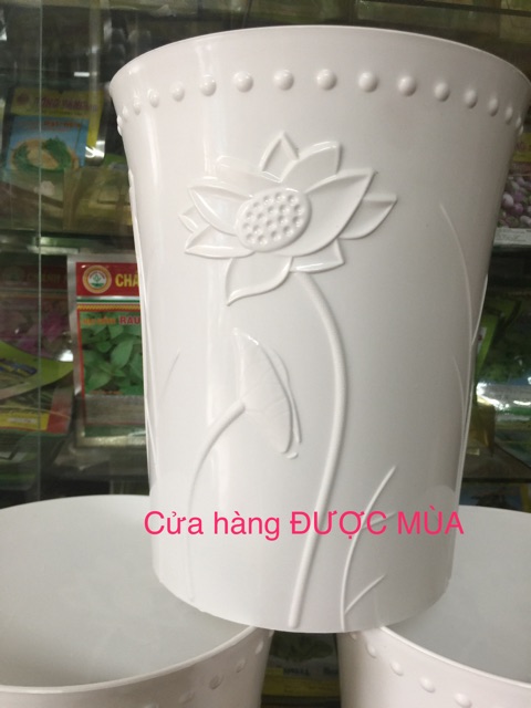 Bộ 3 chậu nhựa dáng cao hoa sen nổi 22x26cm