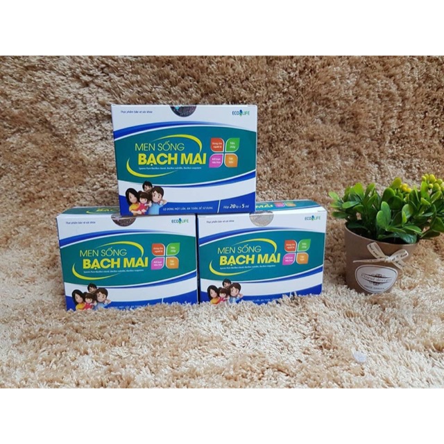 Men Sống Bạch Mai