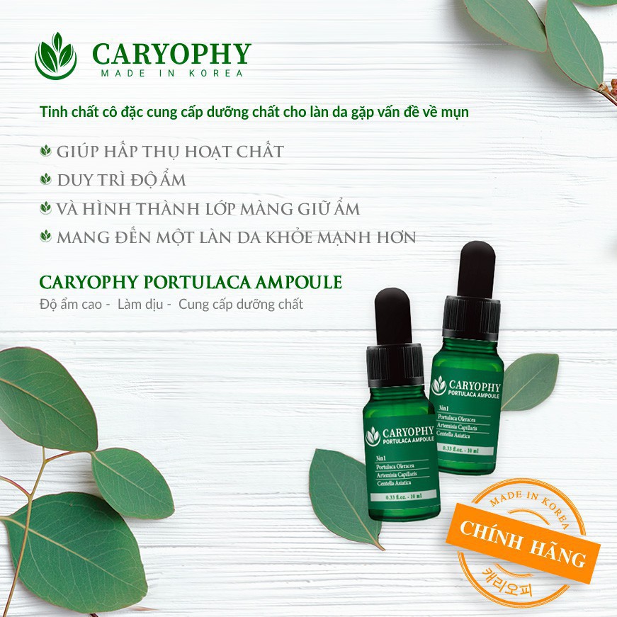 Tinh chất giảm mụn Caryophy Portulaca Ampoule 10ml