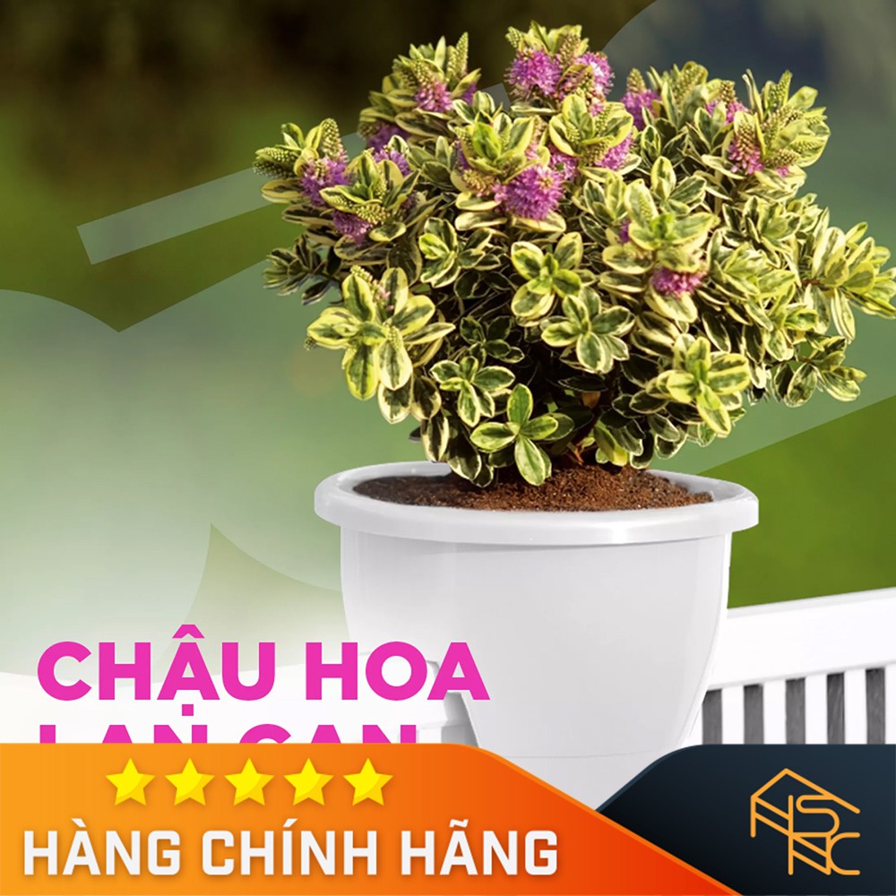 Chậu hoa lan can màu xanh dương- Đài Loan - TS4117