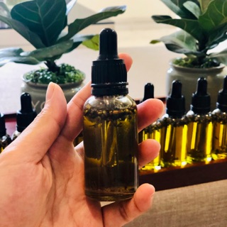 Tiết kiệm 10% với tinh dầu Bơ Booth đậm đặc 30ml