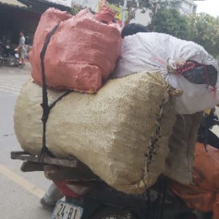 Lá tắm sau sinh người Dao đỏ