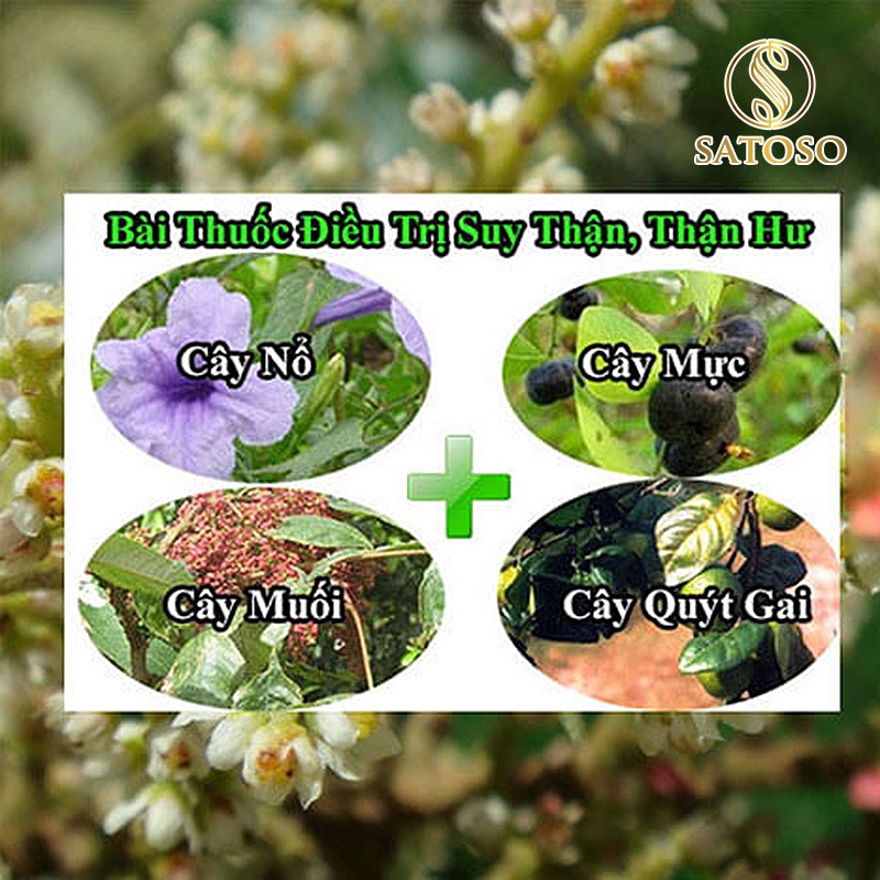 Cây muối khô thượng hạng giúp an thần ngủ ngon 1kg SATOSO SA92