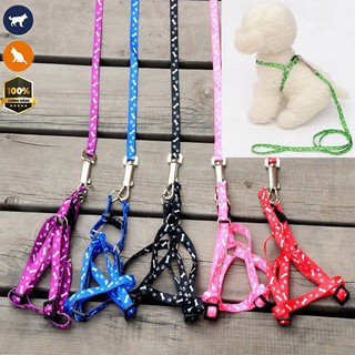 Dây dắt chó và dây xích chó mèo