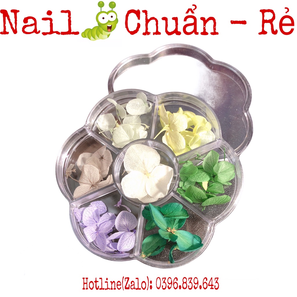 Hoa Khô -  Hoa Lụa Ẩn Gel Ẩn Bột Trang Trí Móng Làm Nail