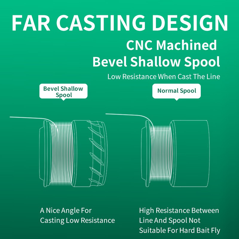 Máy Câu Cá 10 + 1BB 5.2: 1 Chuyên Nghiệp