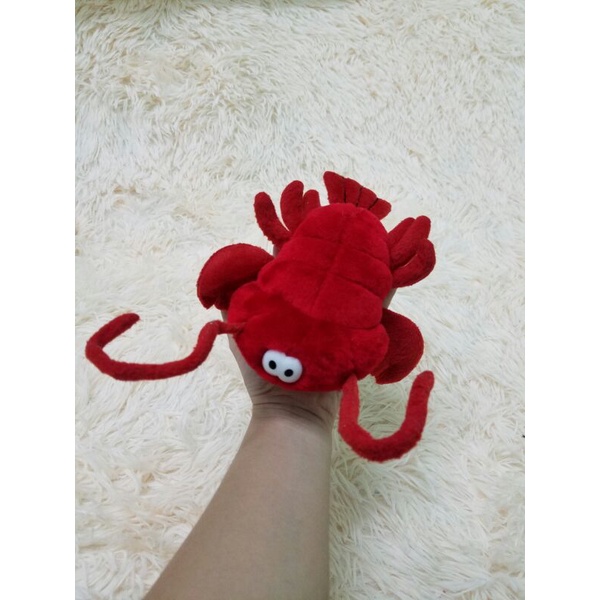 Gấu bông cosplay con tôm hùm