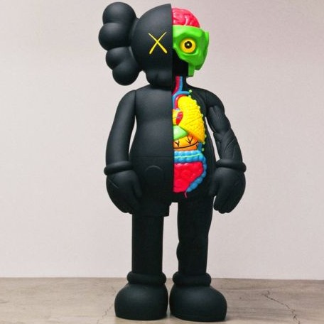 Kaws Fashion