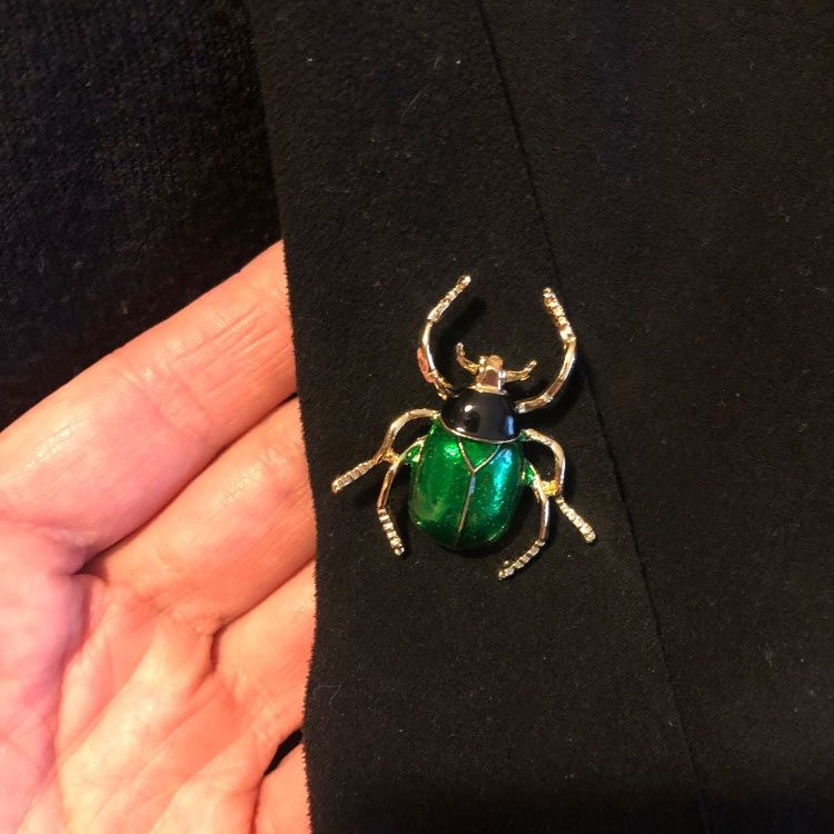 Ghim cài áo hình chú bọ dễ thương cho nữ