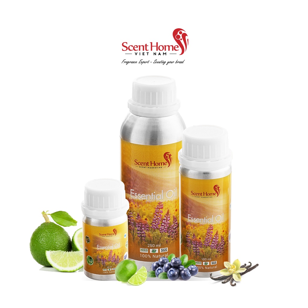 [Chính hãng] Tinh dầu Mississippi  - ScentHomes (Mississippi  - 50ml,100ml,250ml)