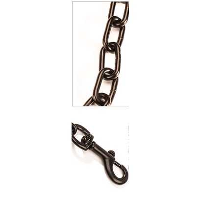 Dây xích Inox kèm vòng cổ cho chó