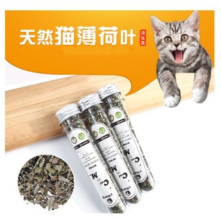 Cỏ mèo - bạc hà mèo ống 45ml