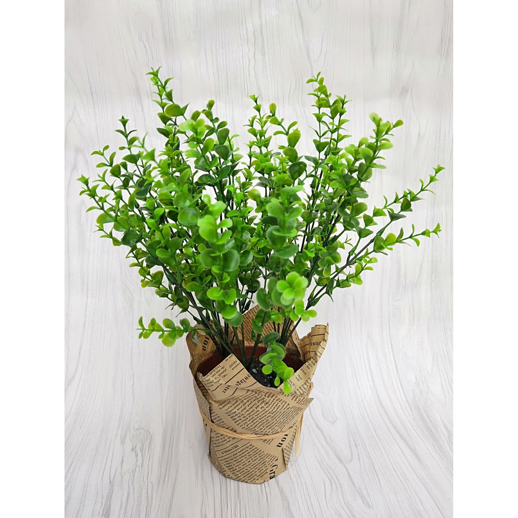 Chùm lá thực vật trang trí VI045