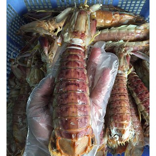 Bề bề nguyên con hấp sơ 1kg